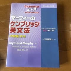 Grammar in Use Intermediate 第3版のサムネイル