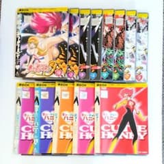 セクシー「キューティーハニー／F（フラッシュ）」DVD 全13巻 永井豪 アニメ セクシー「キューティーハニー／F（フラッシュ）」DVD 全13巻 永井豪