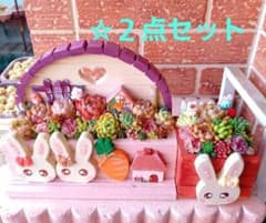 ❤️多肉植物❤️そのまま飾れる寄せ植え❤️うさぎちゃん2点セット