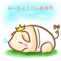 専用品のサムネイル
