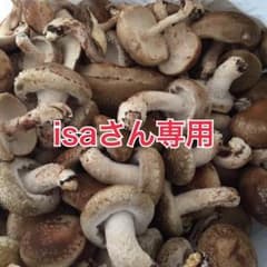 isaさん専用のサムネイル