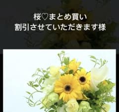 おまとめ買いありがとうございます♡ AZONE INTERNATIONAL::えっくす☆きゅーと::商品詳細