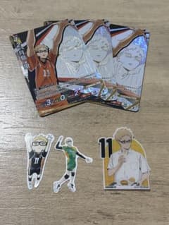 하이큐 바보카 츠키시마