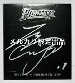 大谷翔平 直筆サイン入り黒色紙 北海道日本ハムファイターズ 背番号11 希少 大谷翔平 直筆サイン入り黒色紙 北海道日本ハムファイターズ 背番号11