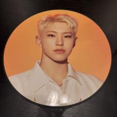 SEVENTEEN HOSHI うちわ BE THE SUNのサムネイル