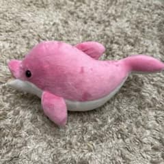 ピンク イルカ ぬいぐるみのサムネイル