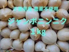 ひろあき 千葉県産 ジャンボニンニク15kg栽培期間中農薬不使用 千葉県産 ジャンボニンニク1kg栽培期間中農薬不使用 - メルカリ