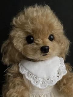 トイプードル　アプリコット　ぬいぐるみ　テディベアのサムネイル