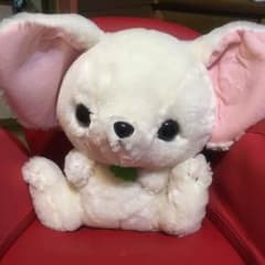 フェネキー ぬいぐるみのサムネイル