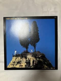 Elvis Costello Goodbye Cruel World レコードのサムネイル