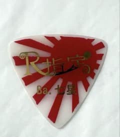 R 지정 칠성 픽 Zepp tour 2014