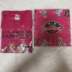 A 【新品】秋田ノーザンハピネッツ＆銀牙 コラボ 銀牙 銀☆Tシャツレア