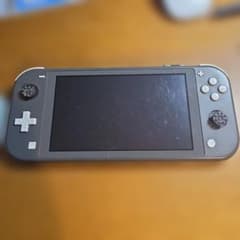 Nintendo switch lite ジャンク　3366NJ Nintendo switch lite ジャンク 3366NJ - メルカリ