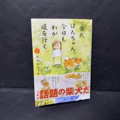 サイン本 I can 香里奈 フォトエッセイ 写真集|mercariメルカリ官方