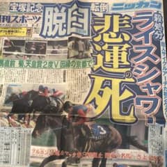 m71663529039_1.jpg?1709455418