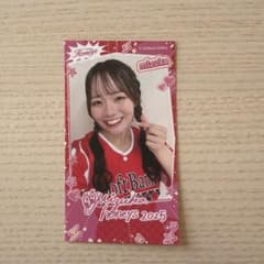 mizuka ハニーズ　Honeys 福岡ソフトバンクホークス　シールのサムネイル