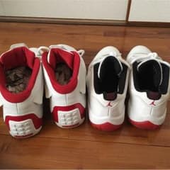 marcysun 専用のサムネイル