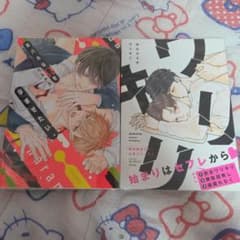 中川カネ子 ワリキリ ハルチカ おバカなΩを孕ませたい。 BL漫画のサムネイル
