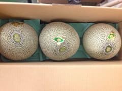 北海道 羊蹄 メロン 赤肉 3玉入のサムネイル