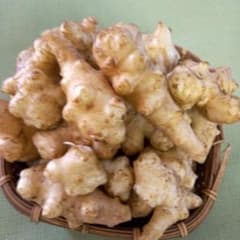 菊芋 根茎1,2キログラムのサムネイル