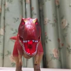 ゆん様専用恐竜キングのサムネイル
