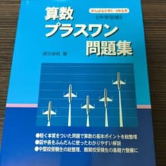 算数/プラスワン問題集 中学受験のサムネイル