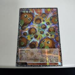 m71675832906_1.jpg?1772242146