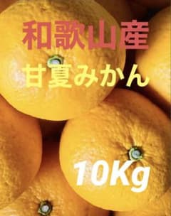 和歌山産 甘夏みかん 10Kgのサムネイル