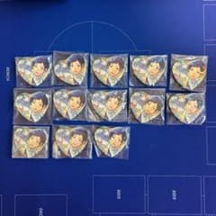 안스타 후시미 궁현 취하는 파카 목련 캔 배지 13개