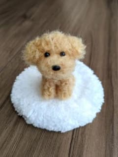 手乗りわんこ　トイプードル　全身　マット付きのサムネイル