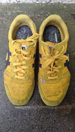 ASICS カビだらけ放置! 要注意!!のサムネイル