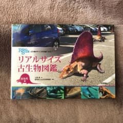リアルサイズ古生物図鑑 古生代編 古生物のサイズが実感できる!のサムネイル