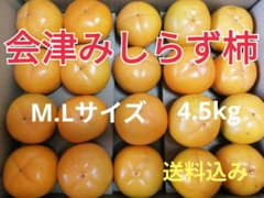 会津みしらず柿　M.Lサイズ 4.5kg  無農薬のサムネイル