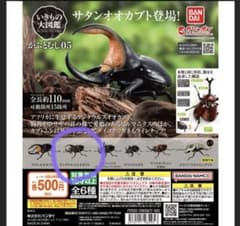 いきもの大図鑑　かぶとむし5 ケンタウルスオオカブトのサムネイル