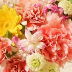 専用出品のサムネイル