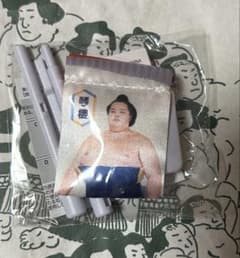 大相撲ミニのぼりマグネット【琴櫻】のサムネイル
