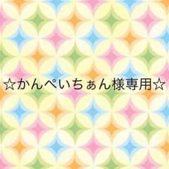 ☆かんぺいちぁん様専用です☆のサムネイル