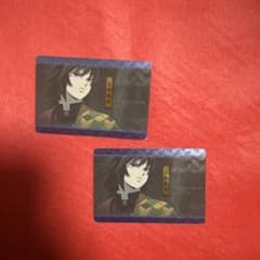 Demon Slayer: Kimetsu no Yaiba Card - Giyu Tomioka (Set of 2)