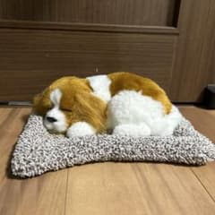 スヤスヤおねむりわんちゃん　キャバリアのサムネイル