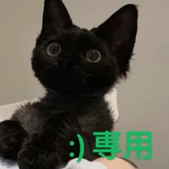 :)専用のサムネイル