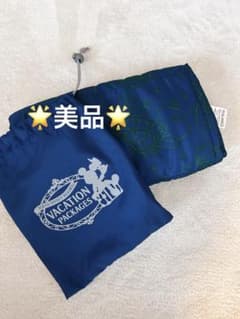 【限定‼️美品】東京ディズニーリゾート バケーションパッケージポーチ、ブランケットのサムネイル