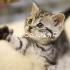 ちょこたん様専用のサムネイル