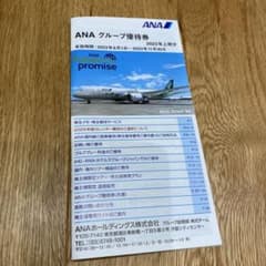 ANAグループ優待券1冊(有効期間2023年11月30日)のサムネイル