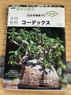 多肉植物 コーデックス 12か月栽培ナビ NHK趣味の園芸のサムネイル