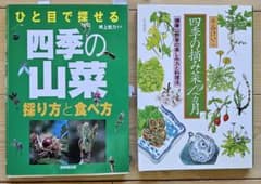 山菜・野草の本 2冊セット／「季節の山菜」＆「四季の摘み菜12カ月」のサムネイル