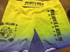 REBELLIOUS BEHAVIOR ファイトショーツ　入手困難のサムネイル