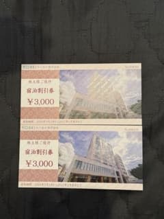トーセイ株式会社 株主優待 宿泊割引券 3000円分×2 枚数調整可能 - 2