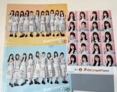 日向坂46 CoCo壱番屋 クリアファイル 3種セット ⑤のサムネイル