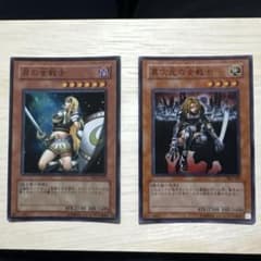 遊戯王 月の女戦士 異次元の女戦士 2枚セットのサムネイル