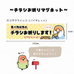 チラシお断りマグネット(コザクラインコバイオレット)のサムネイル